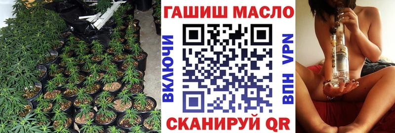 darknet как зайти  Приволжск  ТГК гашишное масло  купить  цена 