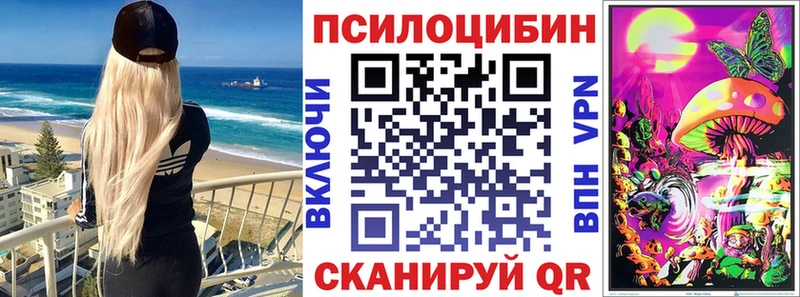 Галлюциногенные грибы Psilocybine cubensis  Приволжск 