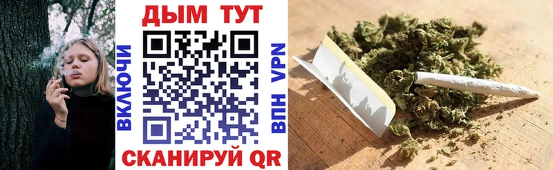 Каннабис конопля  где купить наркоту  Приволжск 